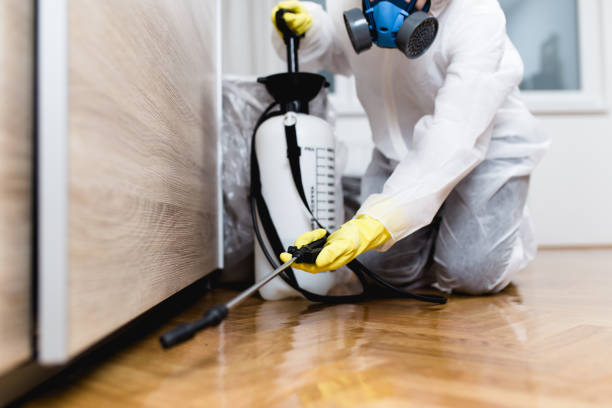 Best Mosquito Control Services  in Benton, LA