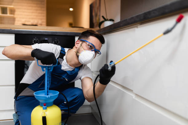 Best Exterminator Services  in Benton, LA