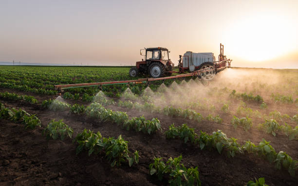 Best Pest Control Treatment  in Benton, LA