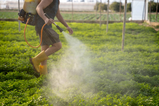 Best Best Pest Control Near Me  in Benton, LA