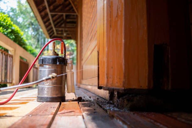 Best Cockroach Control Services  in Benton, LA