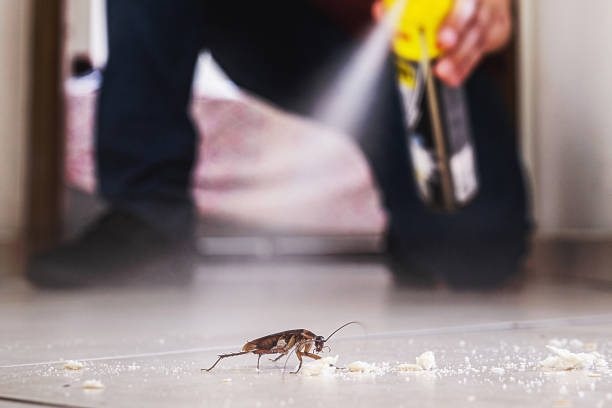 Reliable Benton, LA Pest Control Solutions
